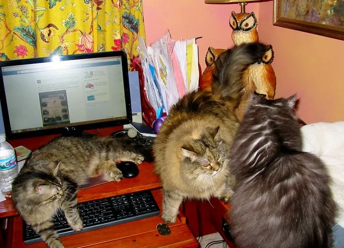 The Office Help Arrives When I Turn On My Computer.
