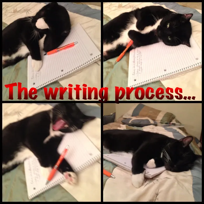 Step 1: Brainstorm; Step 2: Space Out; Step 3: Yawn; Step 4: Sleep