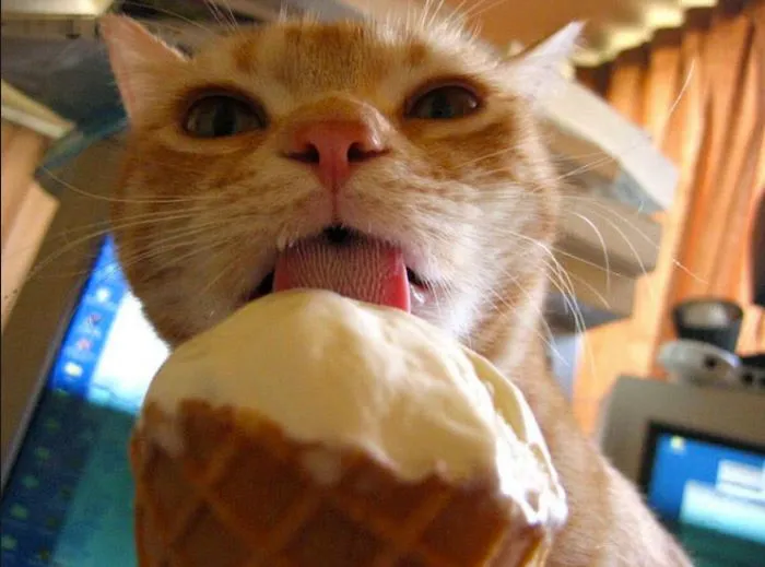 Ice Ice Baby.... Vanilla