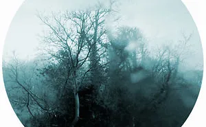 Unseen Landscapes