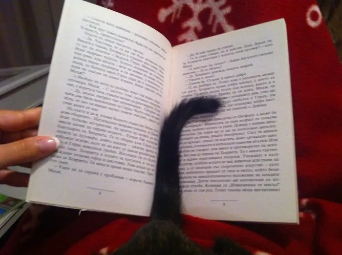 Mitsie Is Helping Me To Remember On Which Page I'm At :)