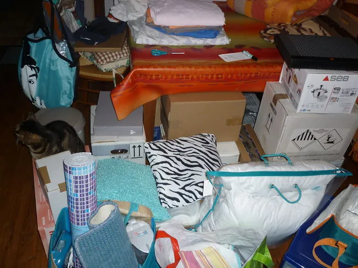 109 Camouflaged Cats That Win At Hide And Seek