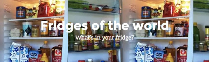 Fridges From Around The World!