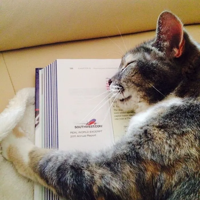 How Your Know Your Textbook Is Boring- It Puts The Cat To Sleep