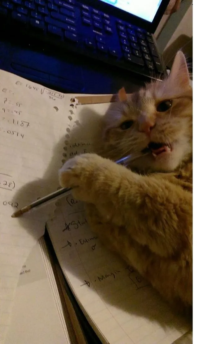 Stat-hiss-tics