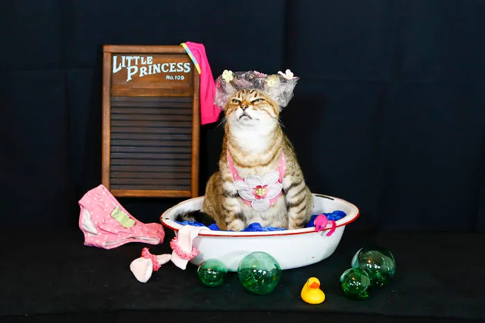 Bathtime's Ok As Long As It's Dry