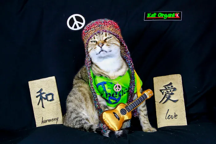 Make Love, Not War