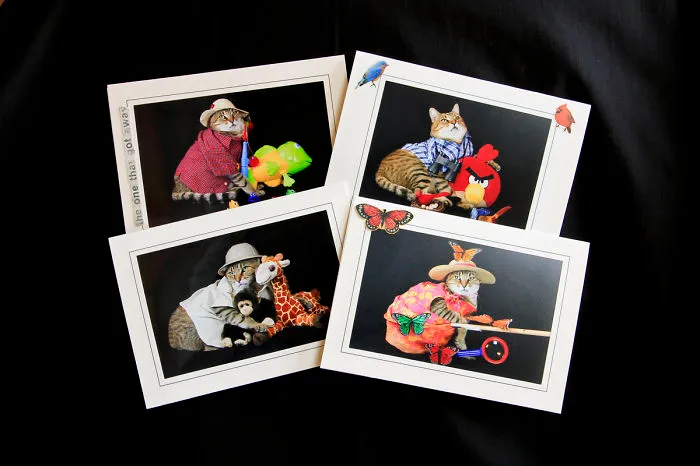 My Photography Cards