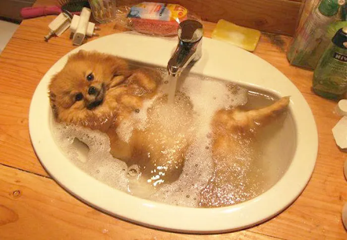 Uhuh? I’m Comfortable With This!