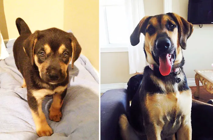 Four Months Apart