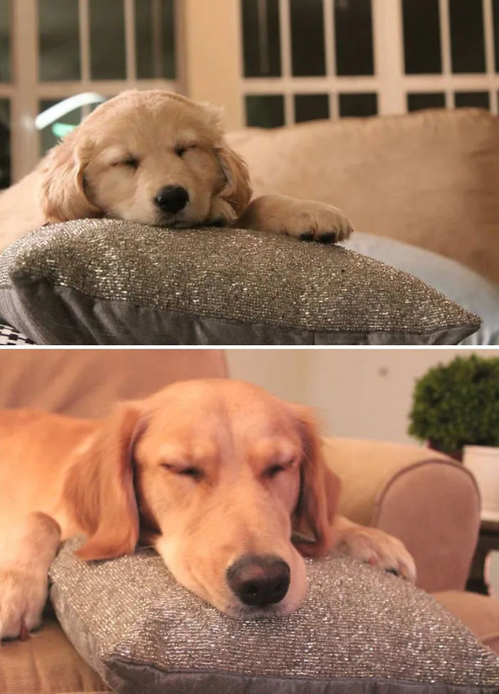What A Difference A Year Has Made