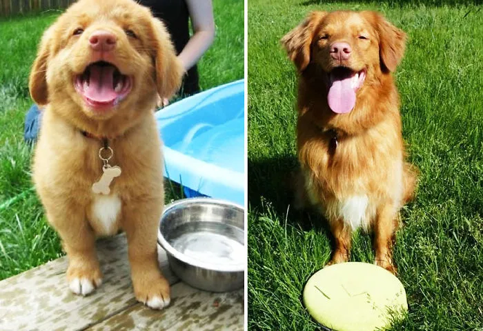 Three Years Later, Same Happy Smile