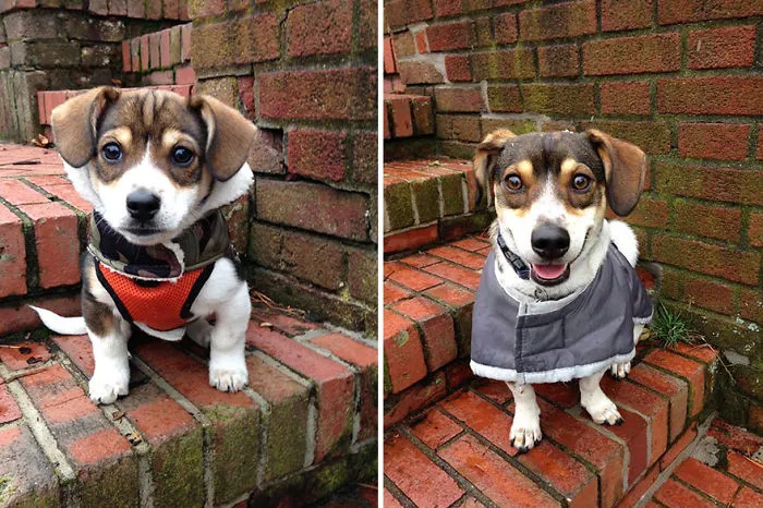 Beans One Year Later