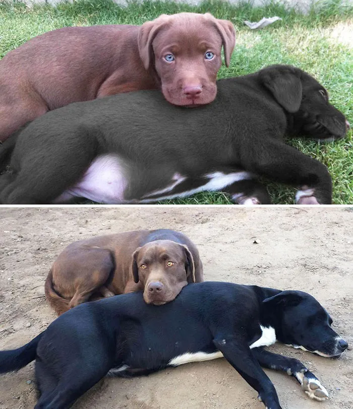 Inseparable