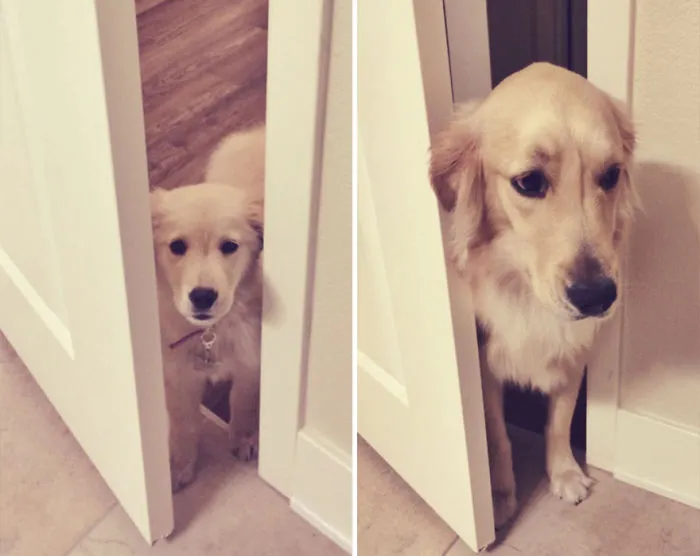 Hello, Is It Me You're Looking For? One Year Later
