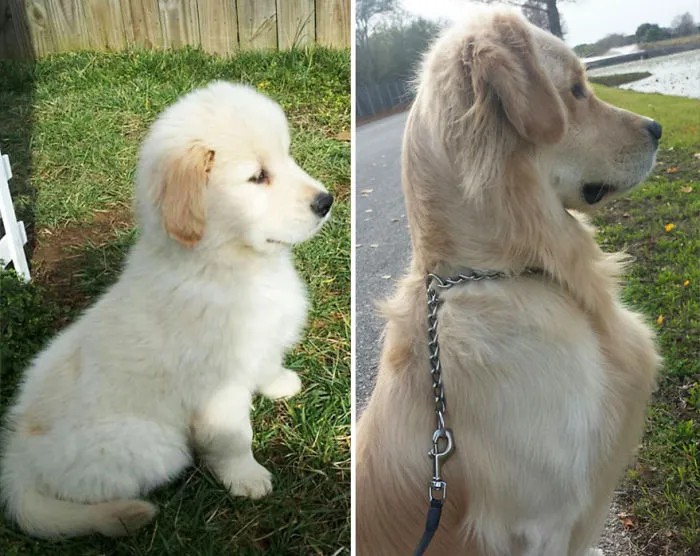 The Difference Two Years Make