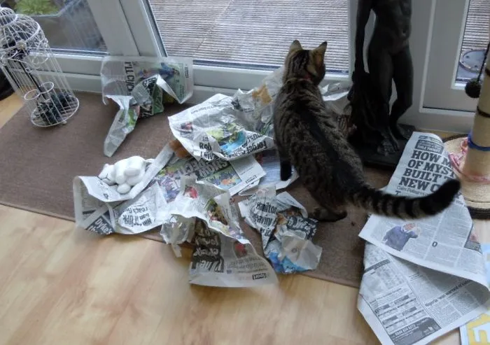 You Can Read It Now, I Am Going Out!