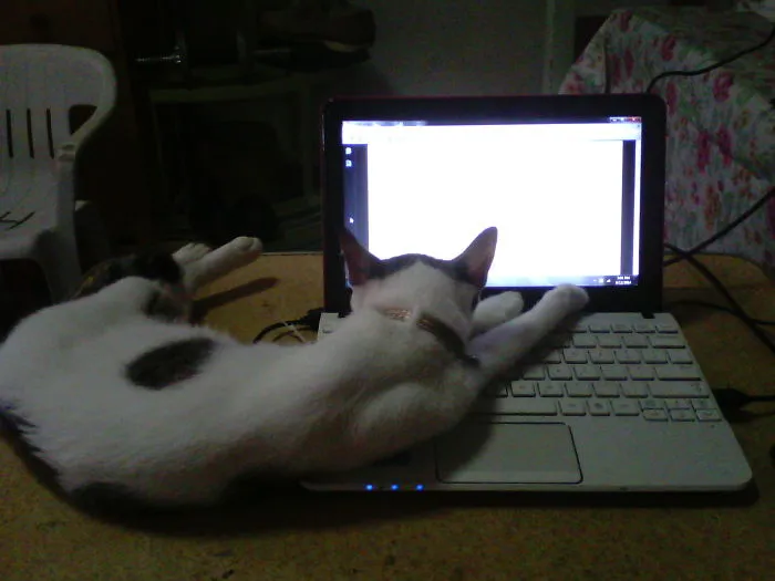 She Got Tired Doing Her Thesis.