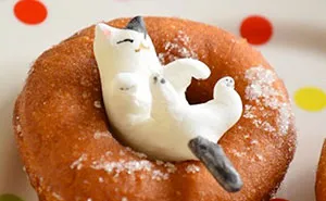 Adorable Cat-Shaped Sweets Inspired By My Cat Apelila