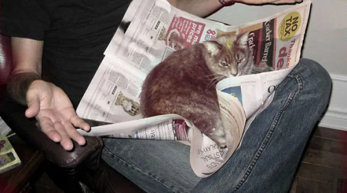 Sorry, Human, But The News Of The Day Is Me
