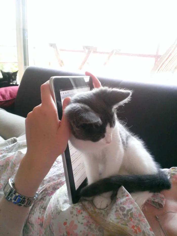 I Want Attention!