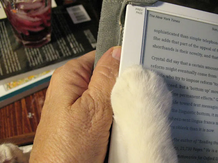Reading Is More Fun With A Pal