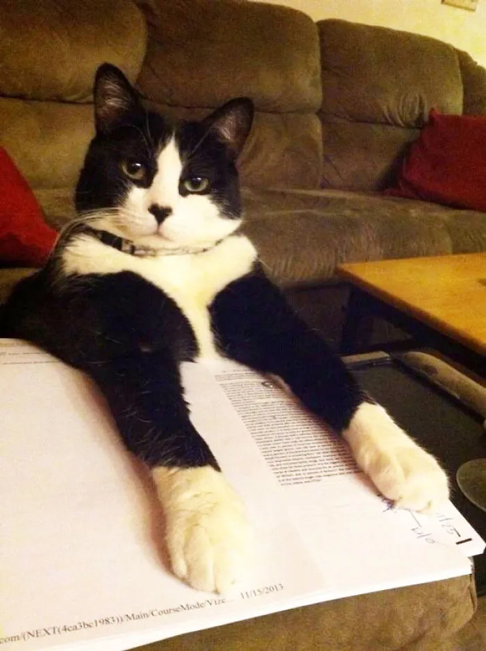 That's enough studying for today