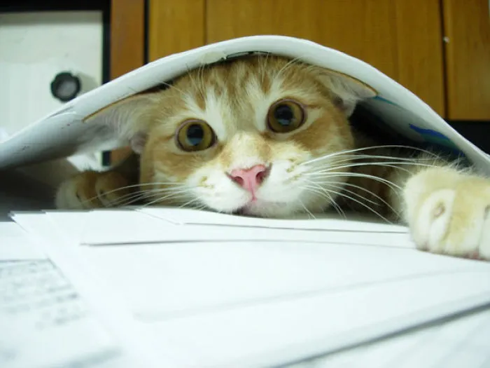 Done Studying Yet?