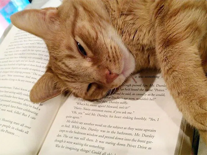 Your Book Is So Boring