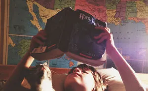 249 Cats That Need Your Attention The Exact Moment You Start Reading