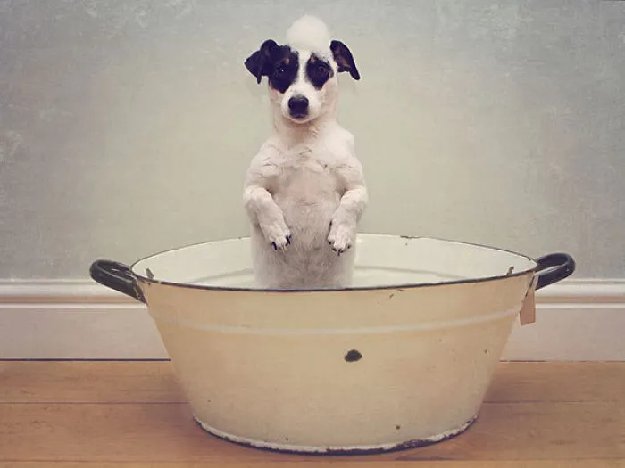 Ruby Is Having A Bath