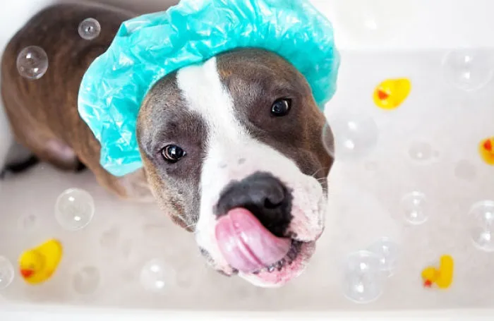 Me Like Bath