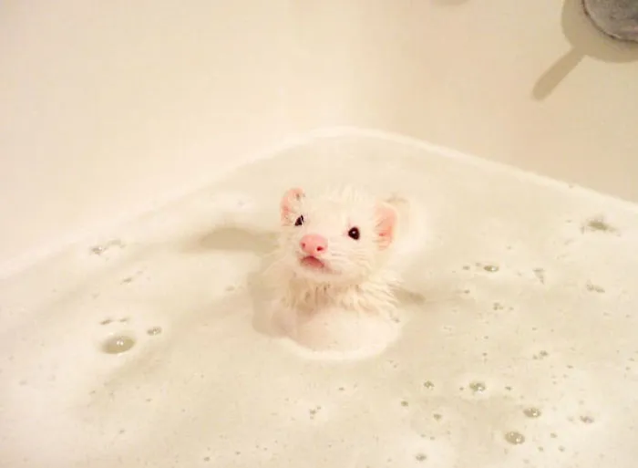 It's Bath Time!