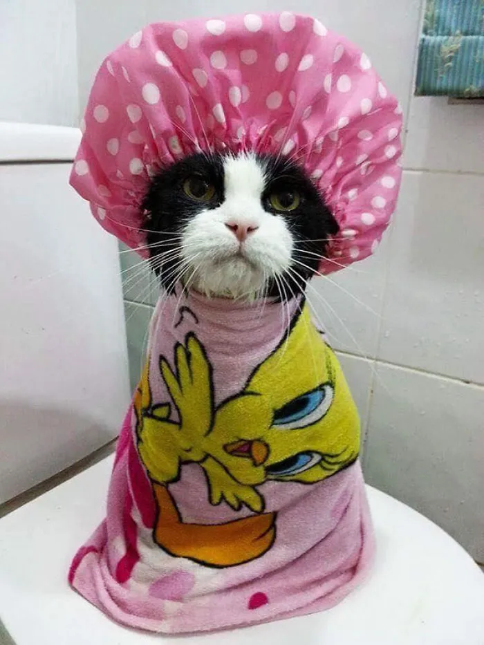Just Another Monday...