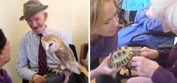 We Bring Giant Snails, Lizards, And Owls To Retirement Homes To Brighten Seniors' Lives