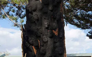 Ashes To Ashes