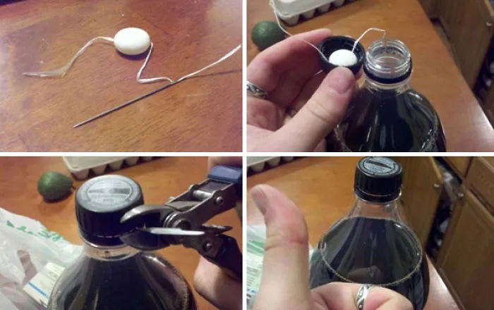Mentos Prank