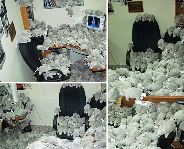 Infest Their Office With (fake) Rats