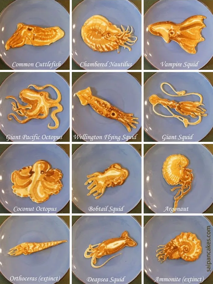 Dad Creates Educational Pancakes For His Kids