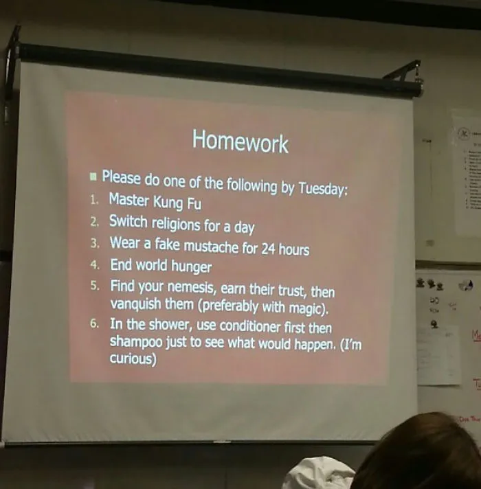 Best Homework Ever