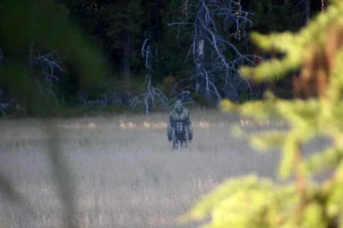 Art Teacher Makes Monster Statues With His Students And Places Them In Random Areas In Montana