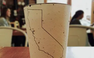 Biodegradable Coffee Cups Embedded With Seeds Grow Into Trees When Thrown Away