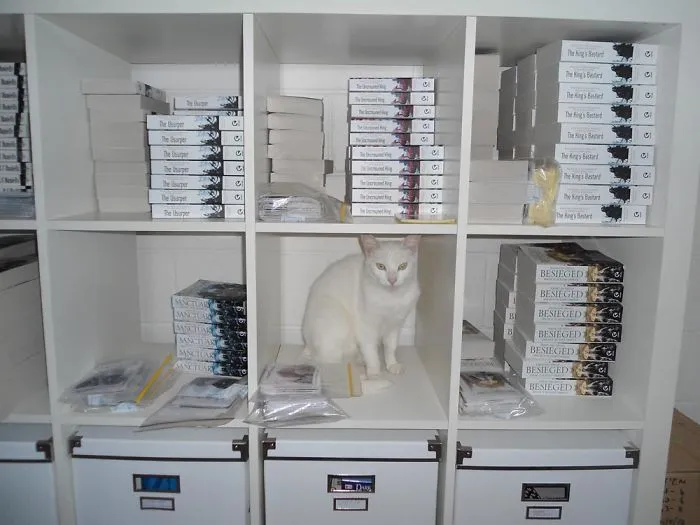 109 Camouflaged Cats That Win At Hide And Seek