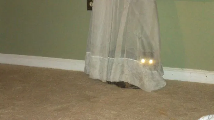 109 Camouflaged Cats That Win At Hide And Seek