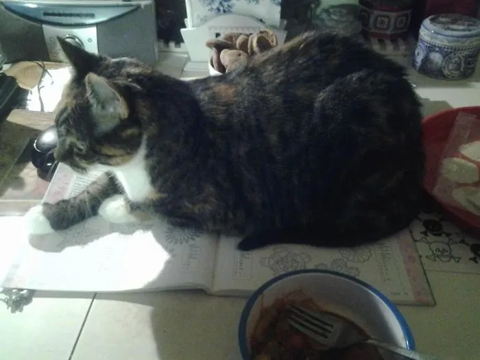 My Breakfast Time