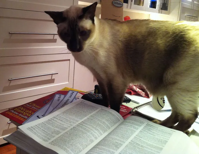 Dictionary Reading