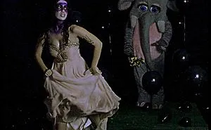 Co-dependent Elephant In The Room