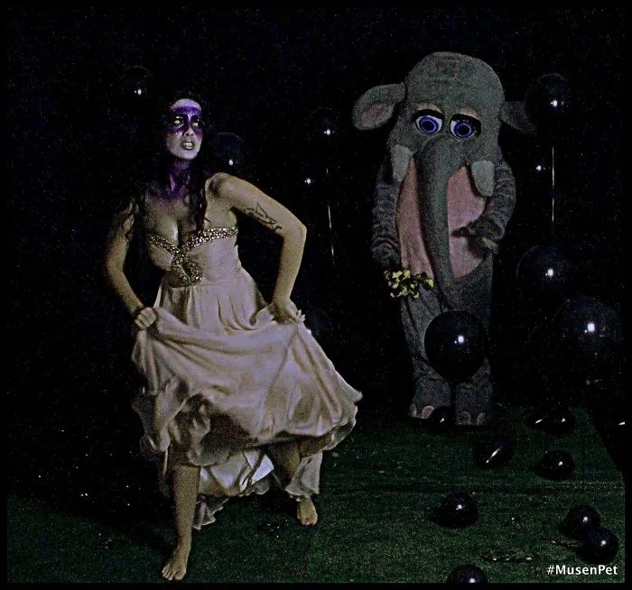 Co-dependent Elephant In The Room