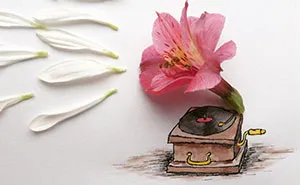 I Create Illustrations Using Everyday Objects (Part 2)