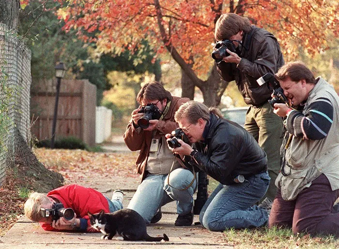Crazy Photographer
